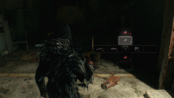 Resident Evil 4 Was Having Ammo Issues Late Game, No Charms, got some now. Resident Evil 4